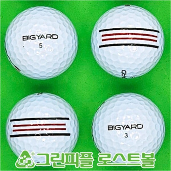 빅야드 스트레이트 화이트 2피스 A-급 로스트볼 16개